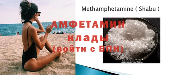 ПСИЛОЦИБИНОВЫЕ ГРИБЫ Арсеньев