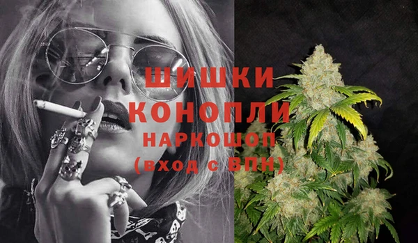 ПСИЛОЦИБИНОВЫЕ ГРИБЫ Арсеньев