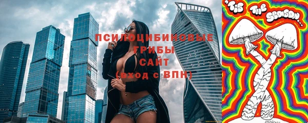 соль ск Аркадак