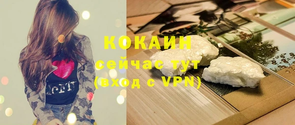 ПСИЛОЦИБИНОВЫЕ ГРИБЫ Арсеньев
