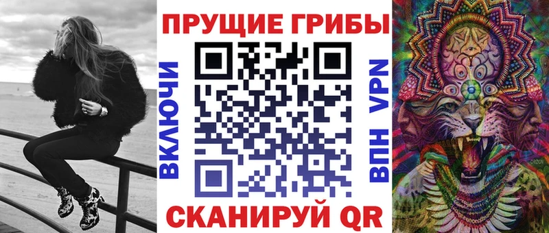 Псилоцибиновые грибы Psilocybe  Пучеж 